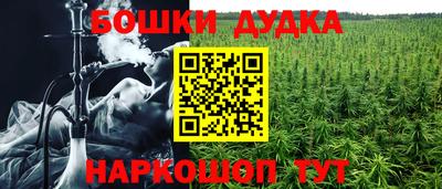гашик Кунгур