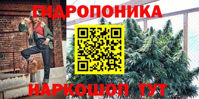 гашик Кунгур