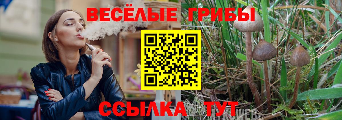 Вышний Волочёк  где продают наркотики  Галлюциногенные грибы GOLDEN TEACHER  Вход с VPN  Псилоцибиновые грибы мицелий 